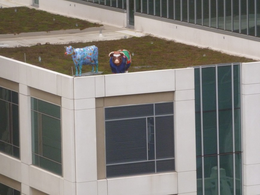 Cow Parade - Chicago